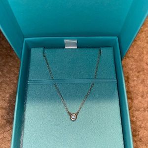 Elsa Peretti Color by the Yard Aquamarine Pendant